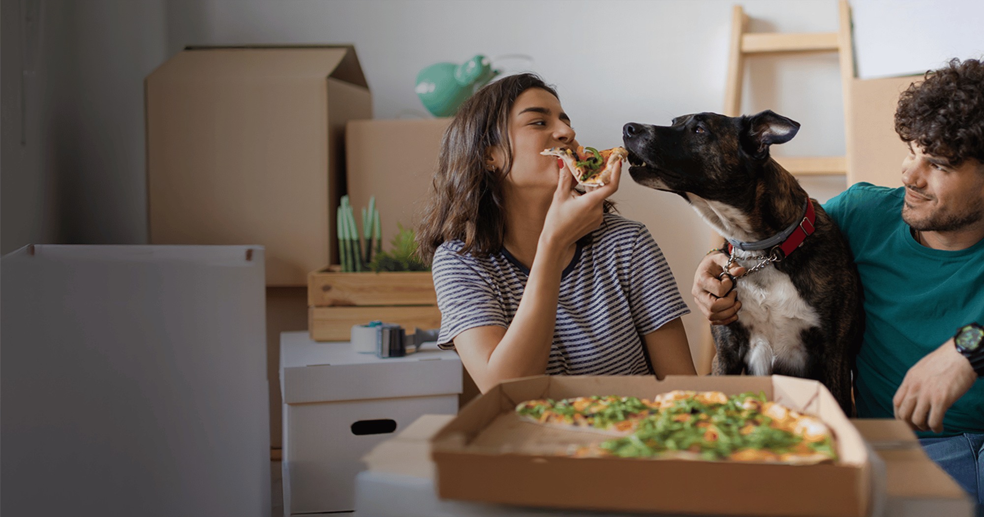 Husband and wife with dog enjoying pizza on moving day Husband and wife with dog enjoying pizza on moving day